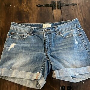Women shorts